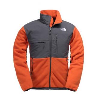 Soldes Veste The North Face Homme